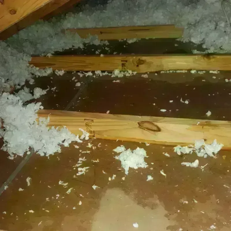 Attic Water Damage in Newnan, GA