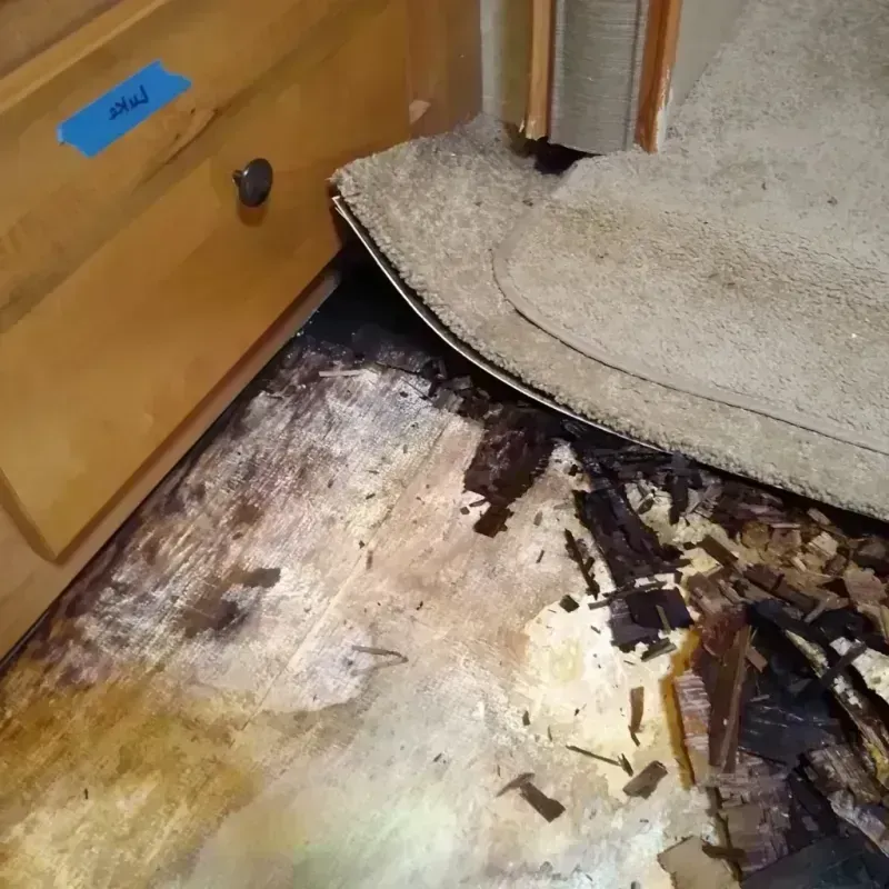 Wood Floor Water Damage in Newnan, GA